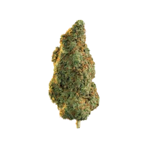 Buy AAAA Gorilla Glue – Hybrid online Manchester