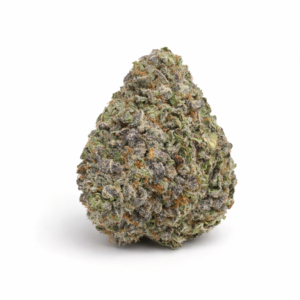 Buy AAAA Blue Lobster – Indica