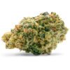 buy weed in portsmouth