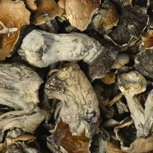 Tidal Wave x Ape Raw Mushrooms