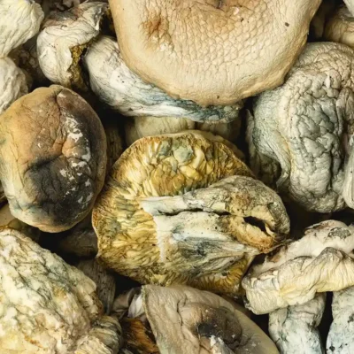Buy IceBerg Raw Mushrooms