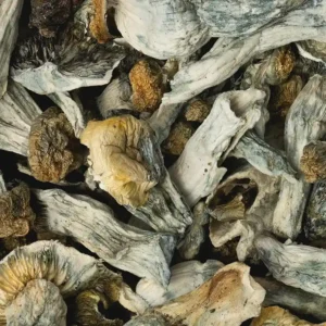 Buy Jedi Mind F.ck X Yeti Raw Mushrooms