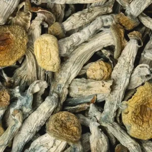 Buy Trasher x Hillbilly Raw Mushroom Online United Kingdom