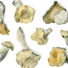Buy Iceberg x Ghost Raw Mushrooms