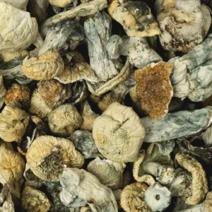 Buy Aeon x Ghost Raw Mushrooms