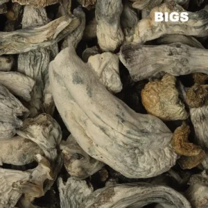 Buy Costa Rican Goldies Raw Mushrooms