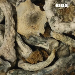 Buy Thai B+ Raw Mushrooms