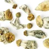 Buy Bluey Vuitton Raw Mushrooms