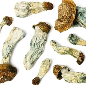 Buy Penis Envy Raw Mushrooms|online London