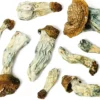 Buy Penis Envy Raw Mushrooms online London
