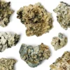 Buy Enigma Raw Mushrooms online Uk