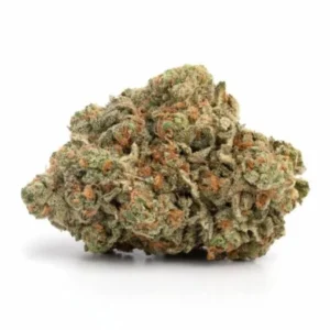 ORDER Biscotti BUDS UK