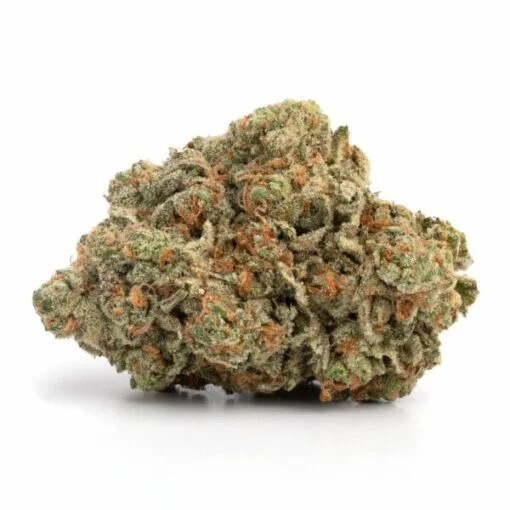 Biscotti-Marijuana-Strain-510x510