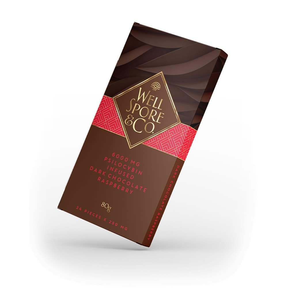 well-spore-co-dark-chocolate-mushroom-bar-6000mg